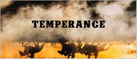 Temperance Film